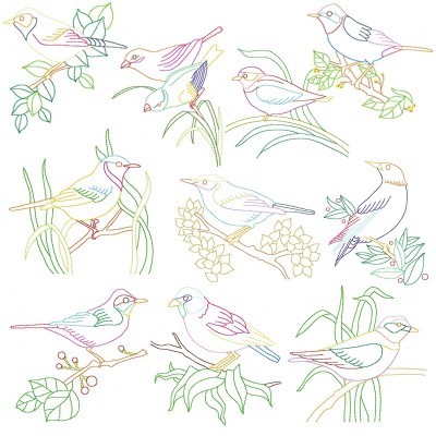 Colorful Vintage Birds Embroidery Design Bundle-1