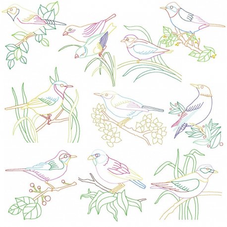 Colorful Vintage Birds Embroidery Design Bundle-1